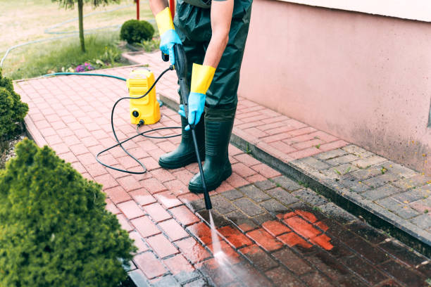 Best Fence Cleaning  in Carbon Cliff, IL